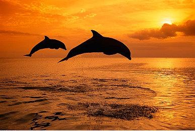 有意为之！《漫威蜘蛛侠2》默认开启光追