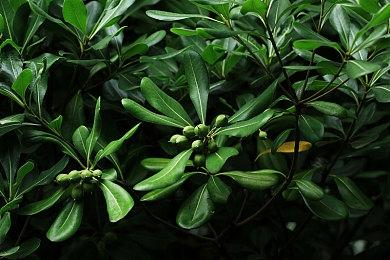 Switch《蝙蝠侠：阿卡姆三部曲》上市宣传片